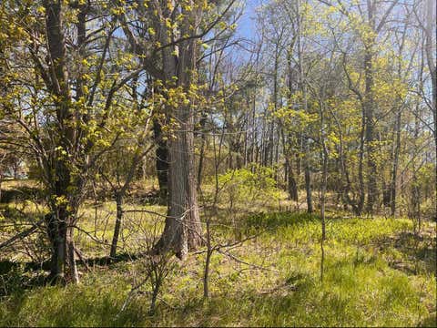 Vacant Land For Sale - 23XX River Road<br/> Polk County, Saint Croix Falls, WI 54024