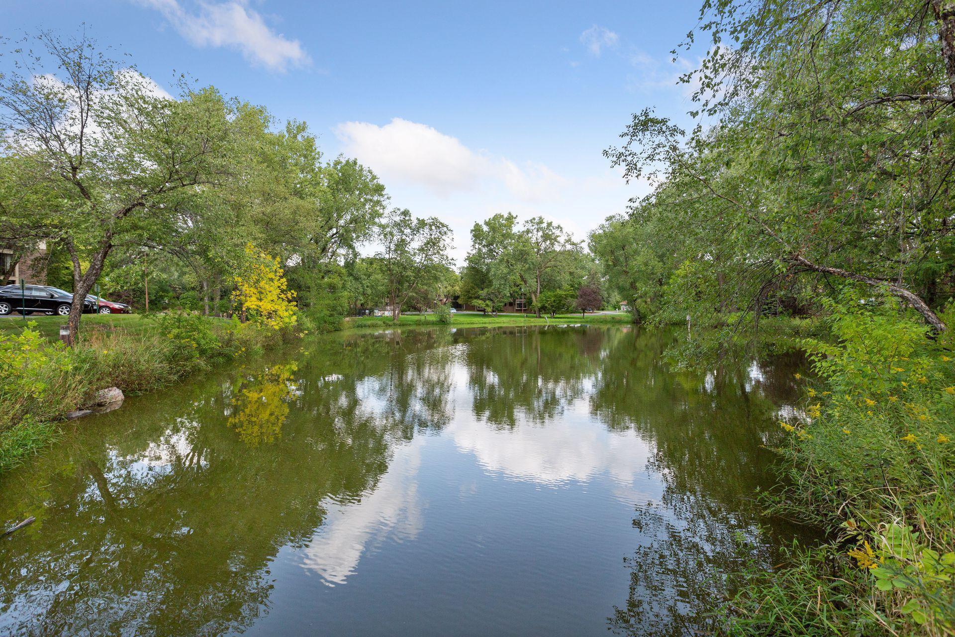 20 Windsor Lane #213A, New Brighton, Minnesota image 48