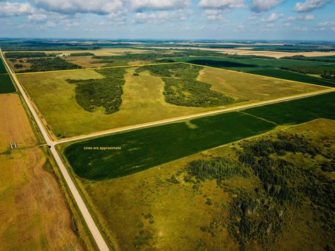 Vacant Land For Sale - TBD 220th Avenue<br/> Roseau County, Badger, MN 56714