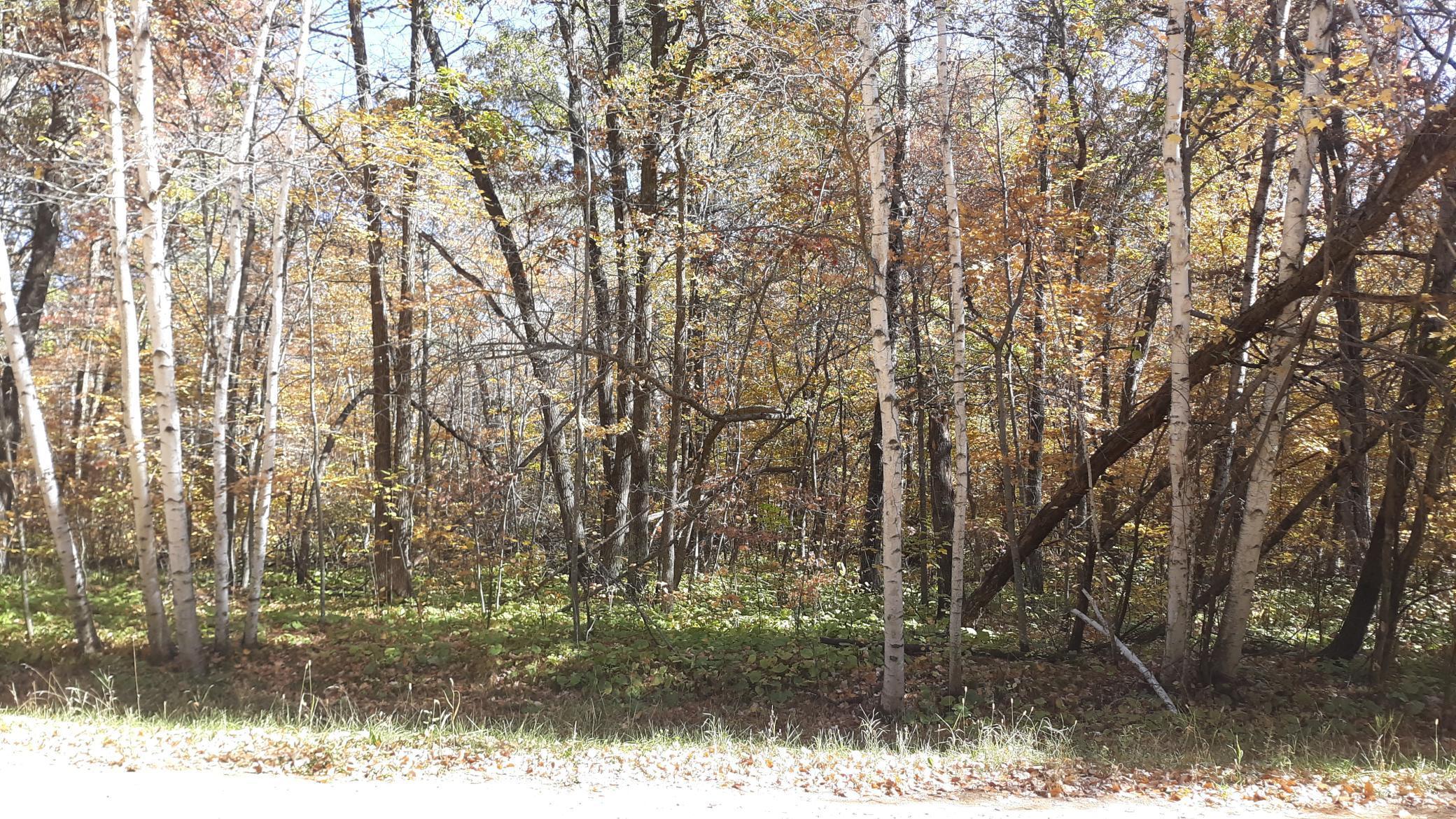 Lot 27 Block 4 Ode Circle, Browerville, Minnesota image 10