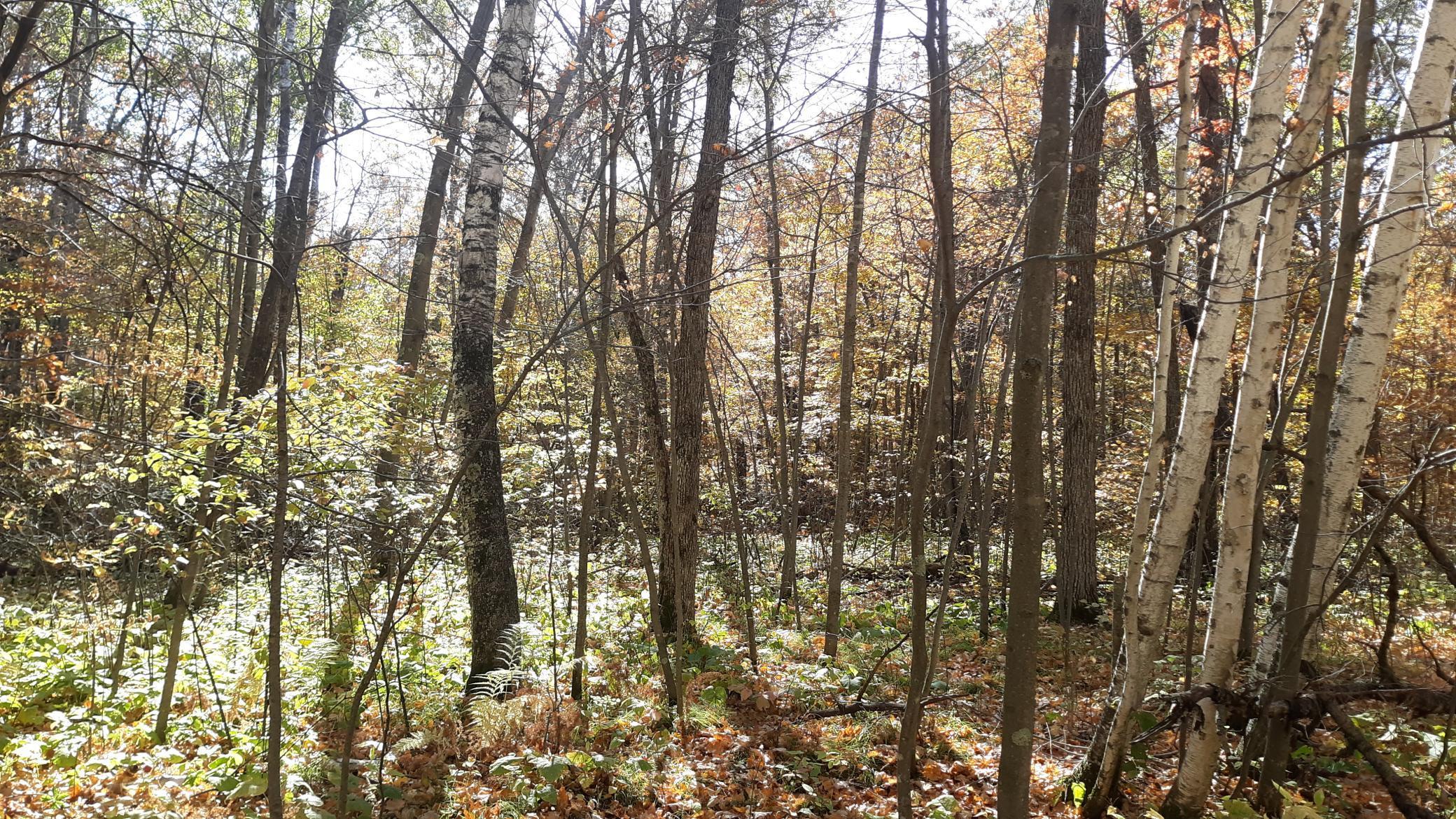 Lot 27 Block 4 Ode Circle, Browerville, Minnesota image 11