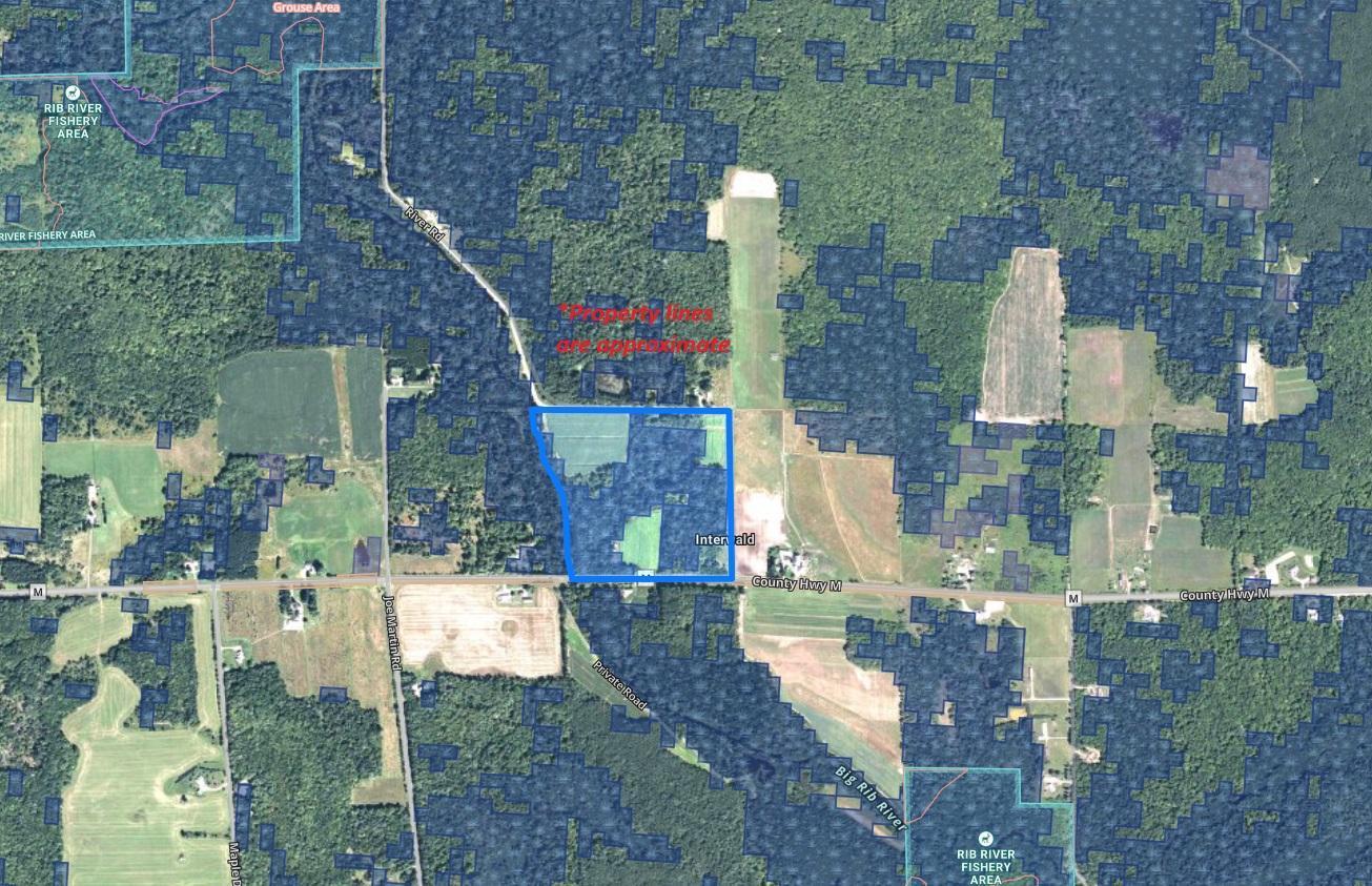 XXX County Road M, Rib Lake, Wisconsin image 6