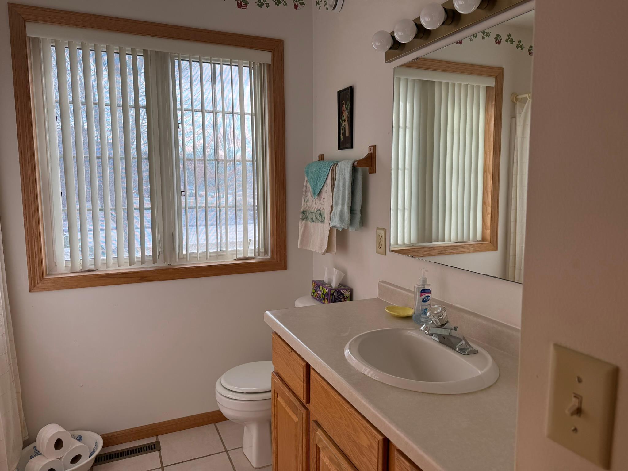 1410 Sage Lane, Owatonna, Minnesota image 9