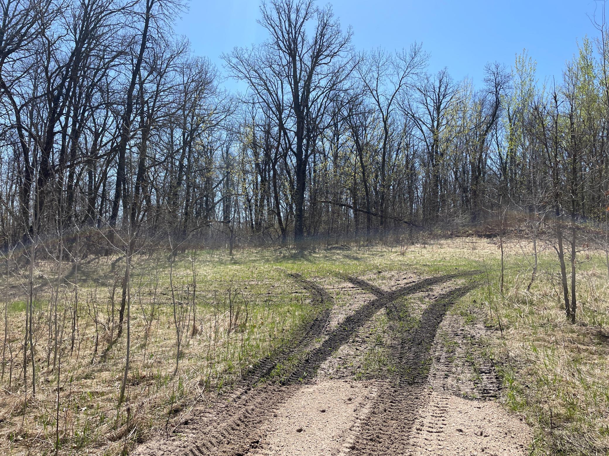 TBD Csah 14, Lengby, Minnesota image 30