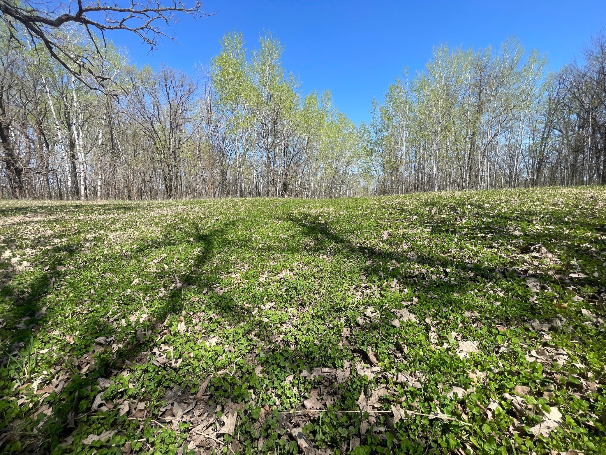 TBD Csah 14, Lengby, Minnesota image 39