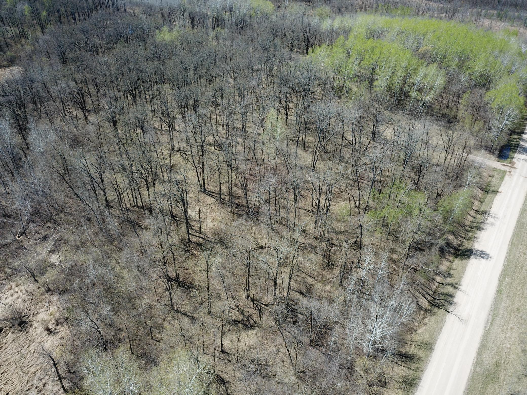 TBD Csah 14, Lengby, Minnesota image 6
