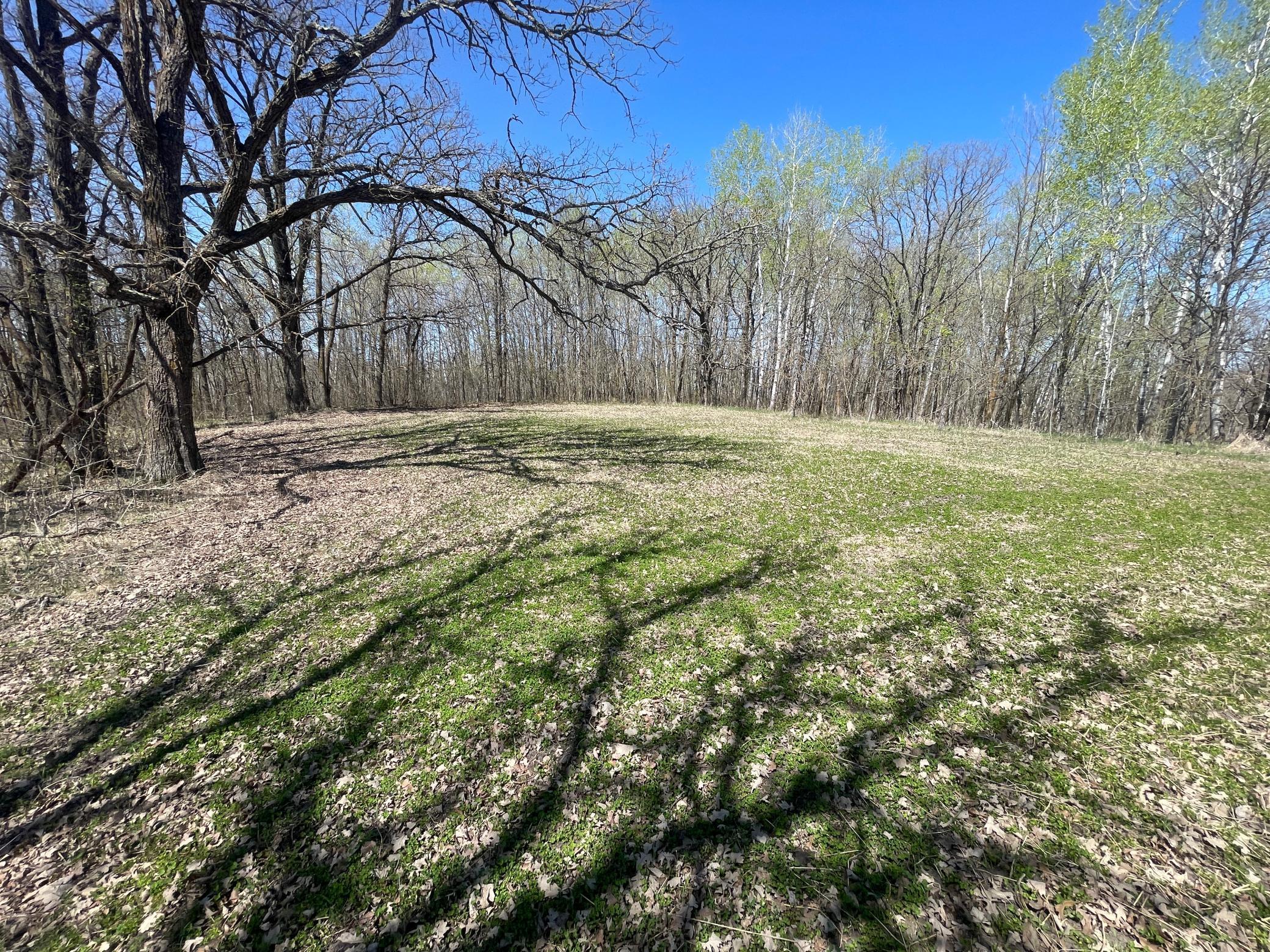 TBD Csah 14, Lengby, Minnesota image 38
