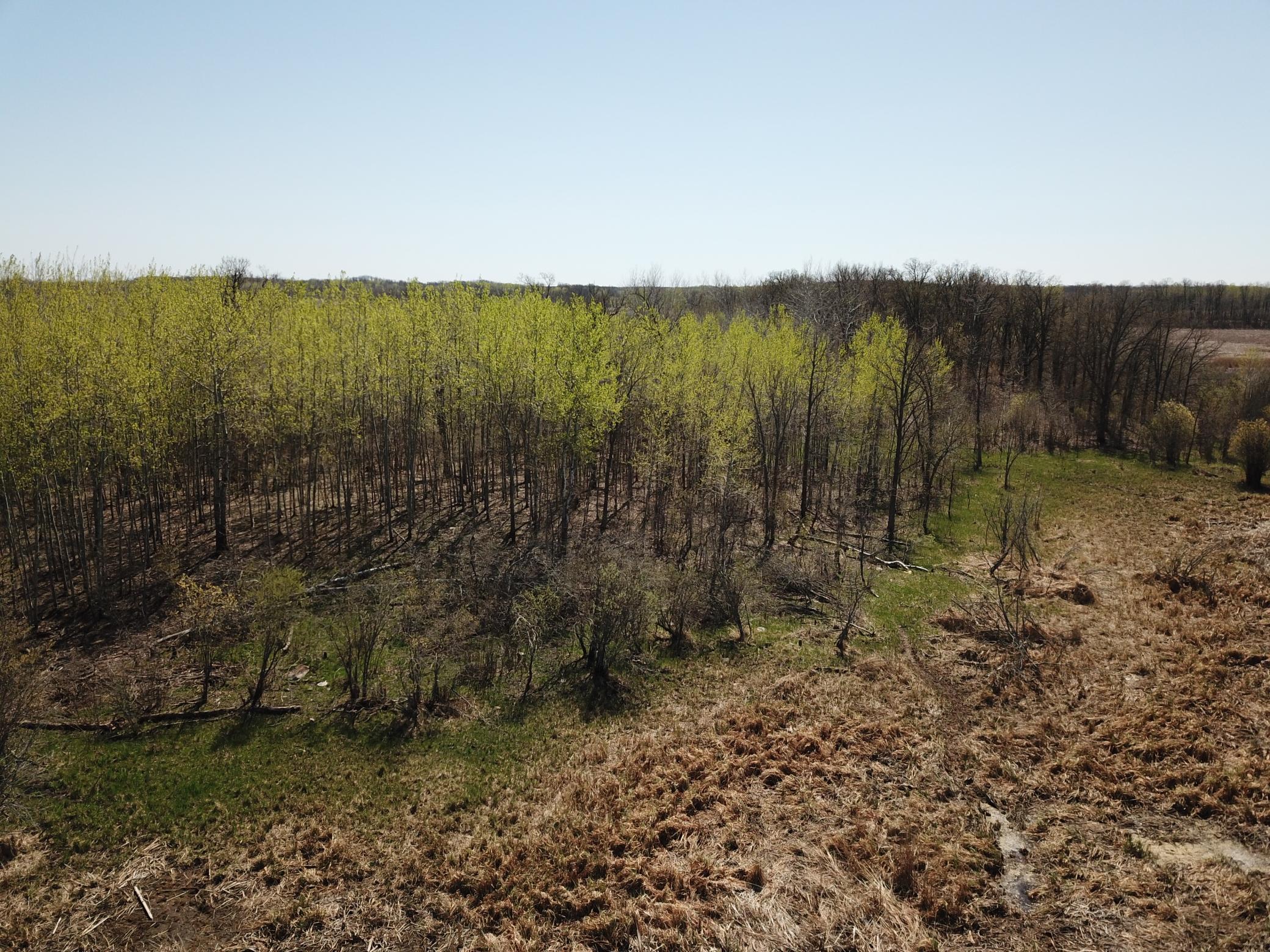 TBD Csah 14, Lengby, Minnesota image 22