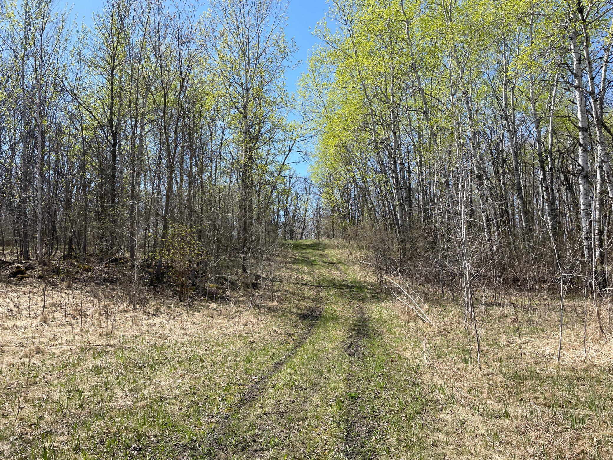 TBD Csah 14, Lengby, Minnesota image 32