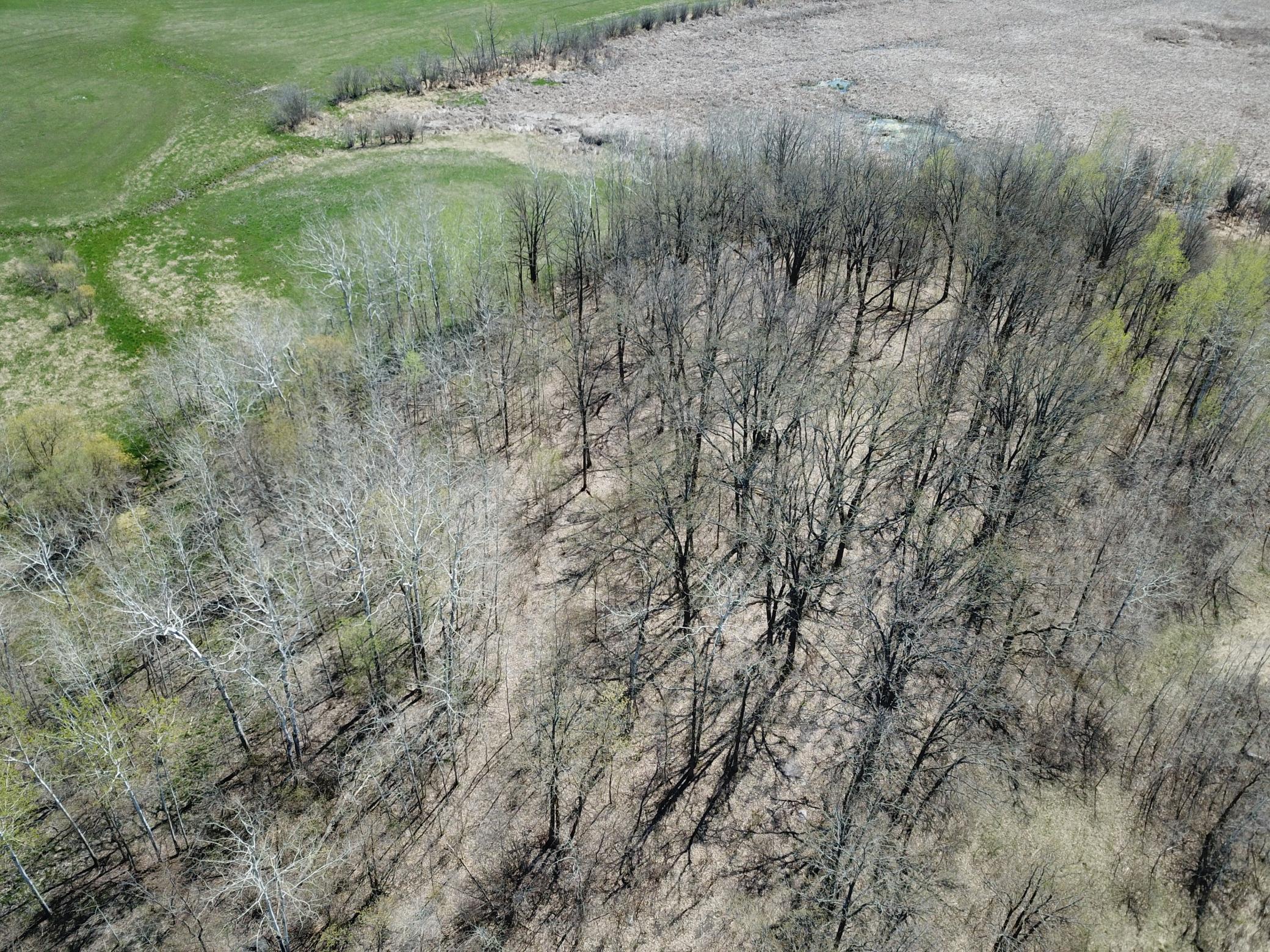 TBD Csah 14, Lengby, Minnesota image 24