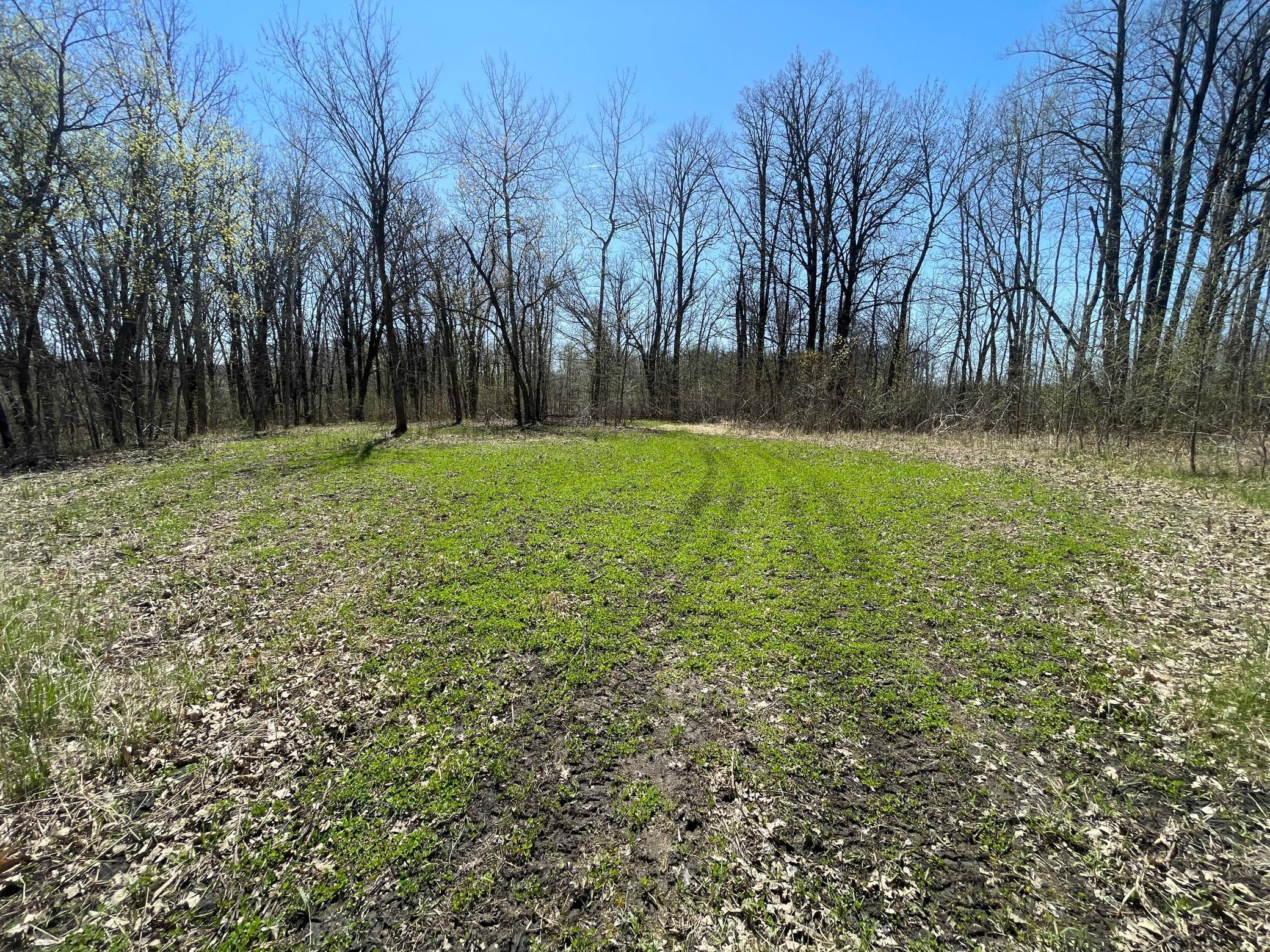 TBD Csah 14, Lengby, Minnesota image 43