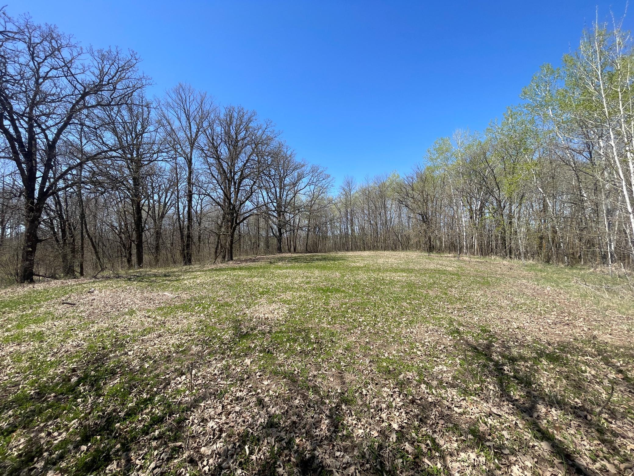 TBD Csah 14, Lengby, Minnesota image 35