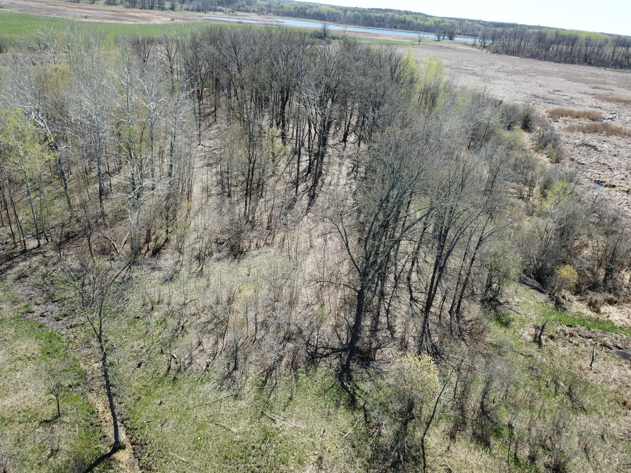TBD Csah 14, Lengby, Minnesota image 23