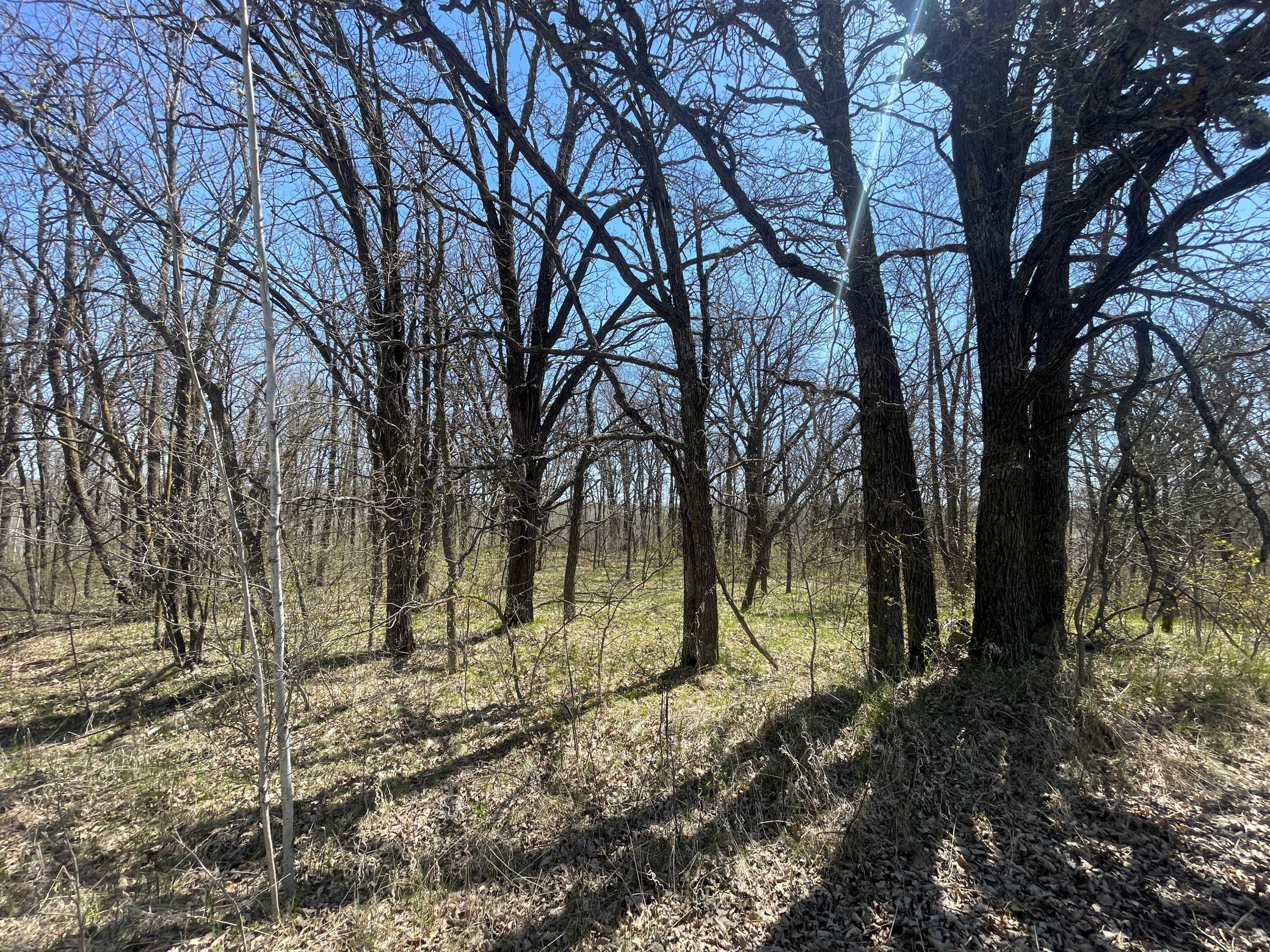 TBD Csah 14, Lengby, Minnesota image 34