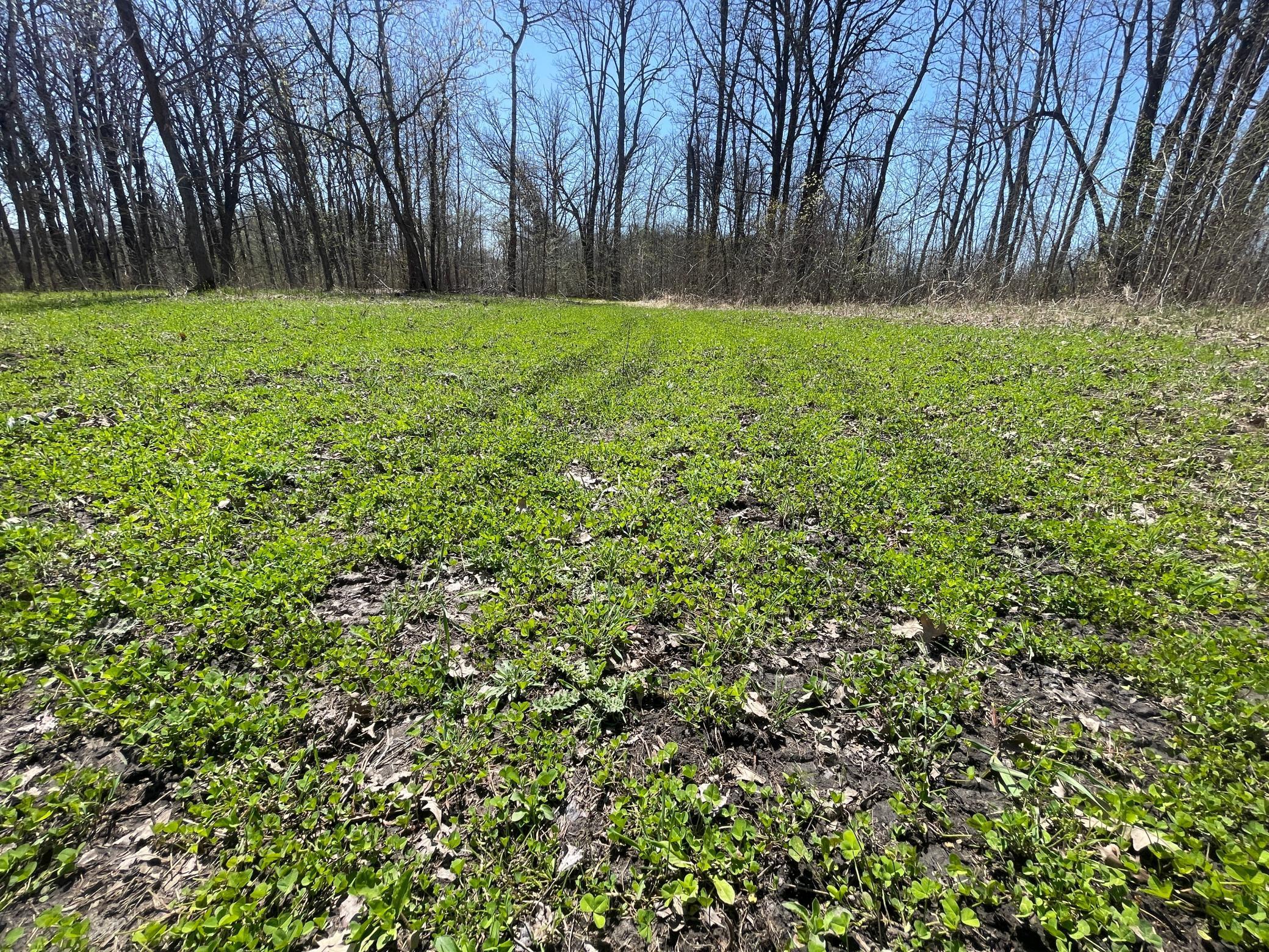 TBD Csah 14, Lengby, Minnesota image 44