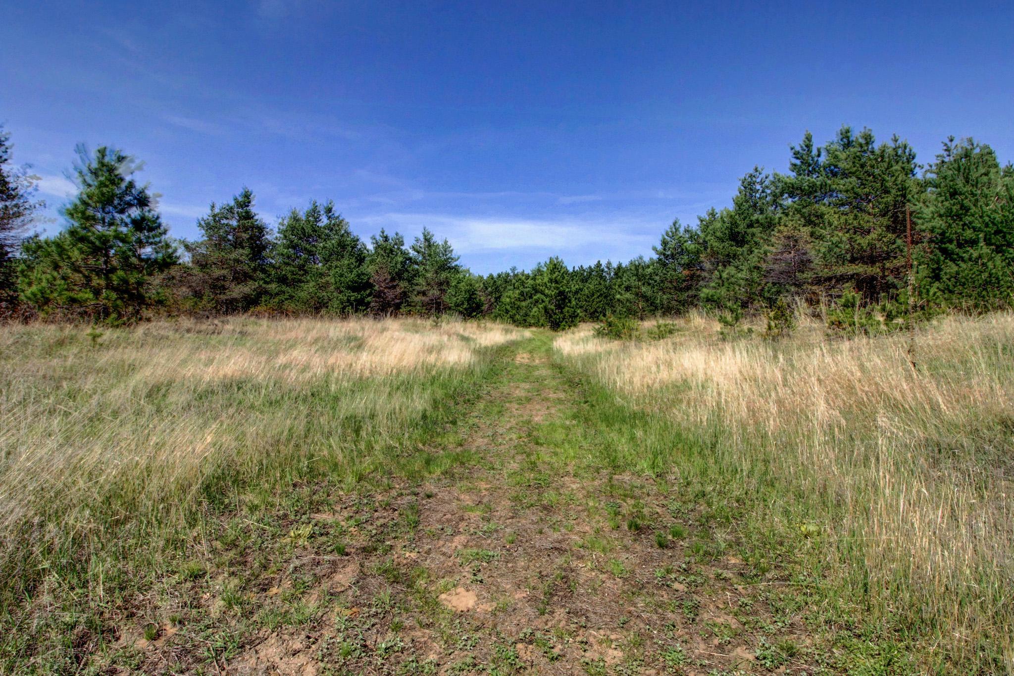 33394 Becker Line Road, Park Rapids, Minnesota image 48