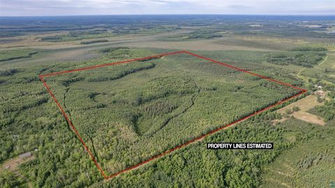 Vacant Land For Sale - TBD Xxx Digs Dr<br/> Carlton County, Wright, MN 55798