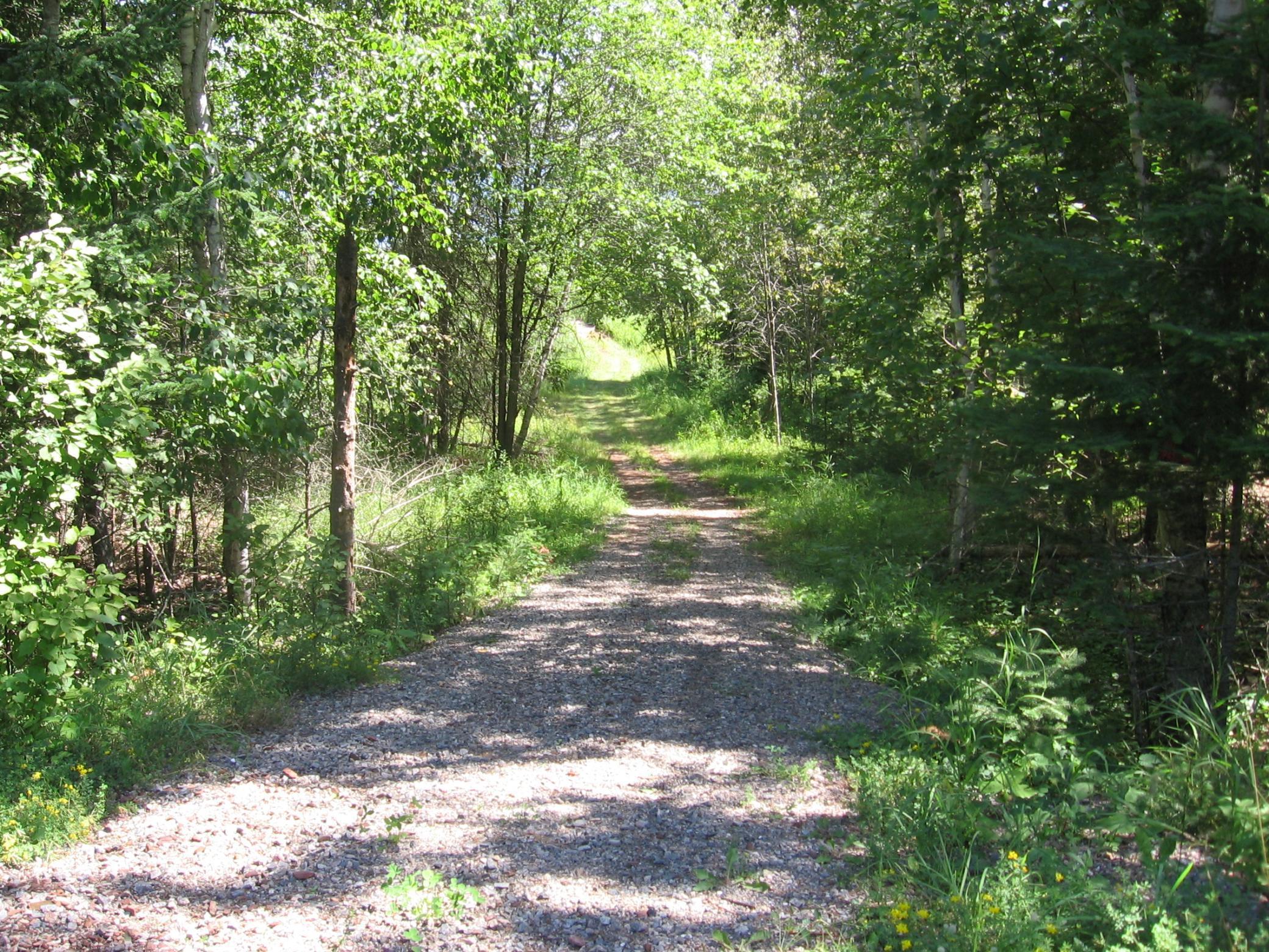 3677 County Road 54, Longville, Minnesota image 45