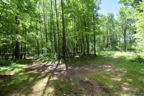 Vacant Land For Sale - 25227 Kruger Road<br/> Webster, WI 54893