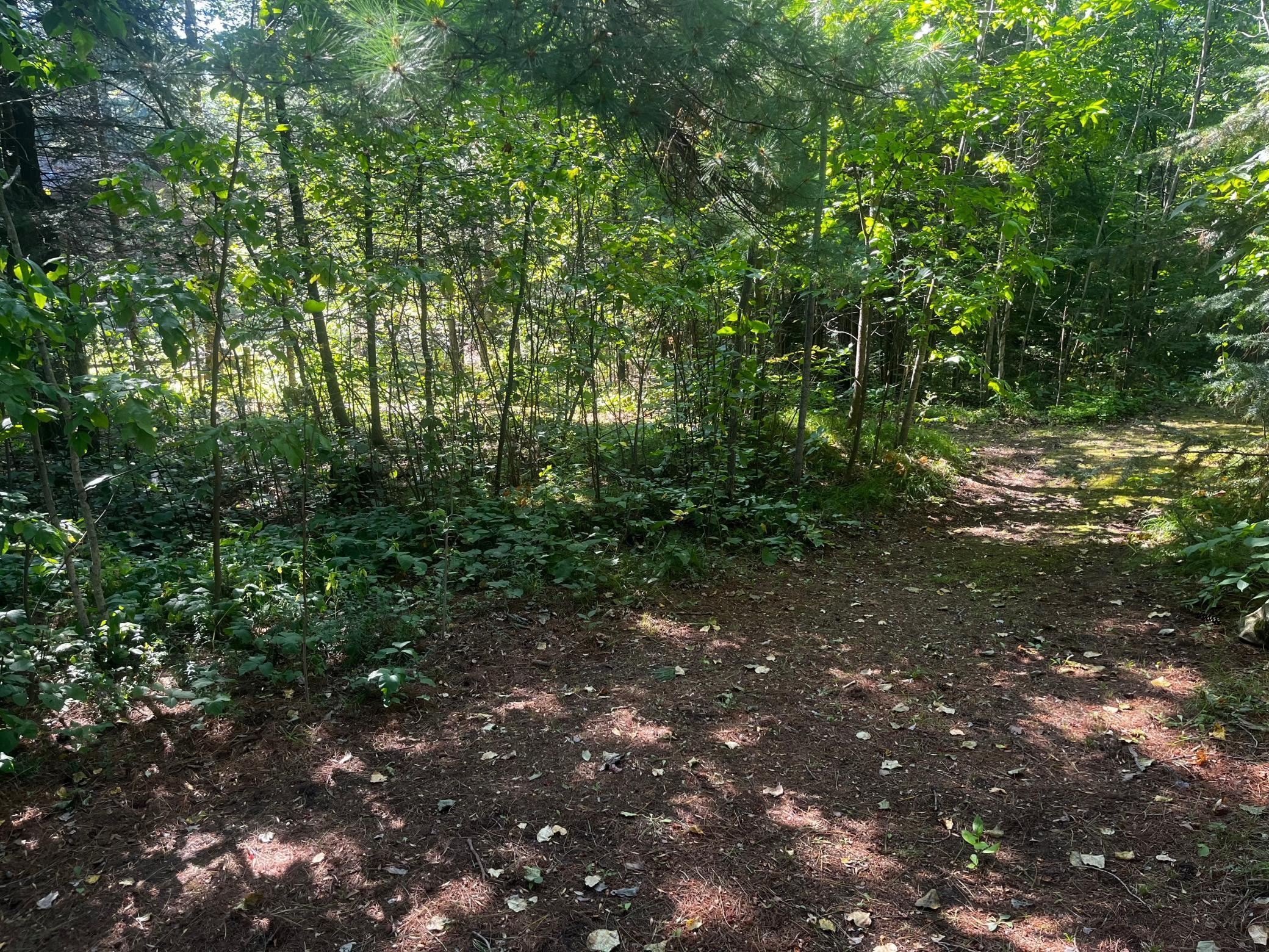 51745 Warbler Drive, Bemidji, Minnesota image 36