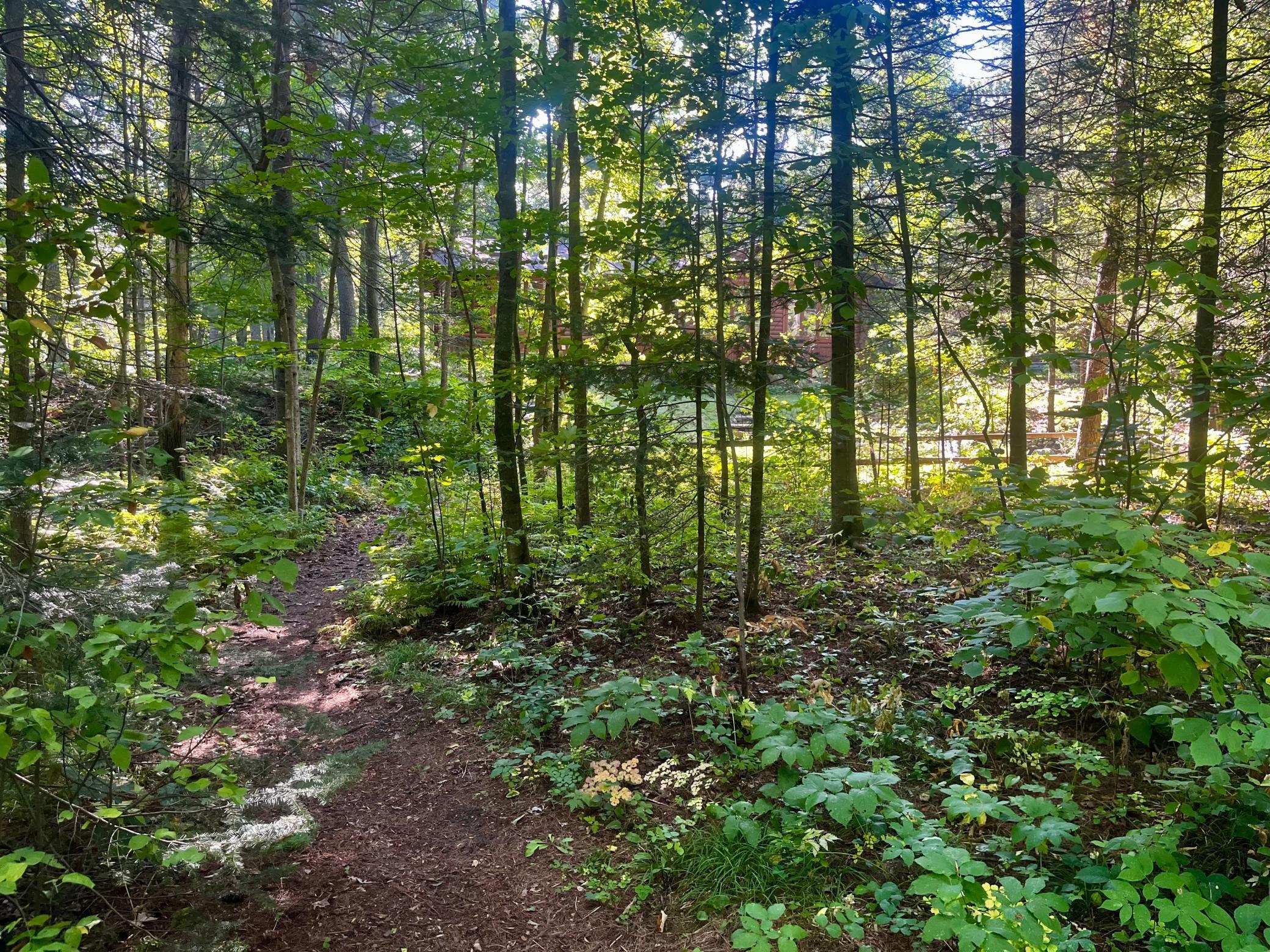 51745 Warbler Drive, Bemidji, Minnesota image 38