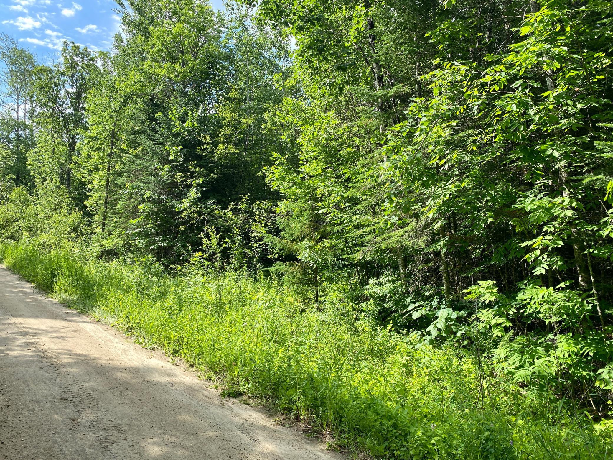 Lot 18 Natures Trail, Federal Dam, Minnesota image 3