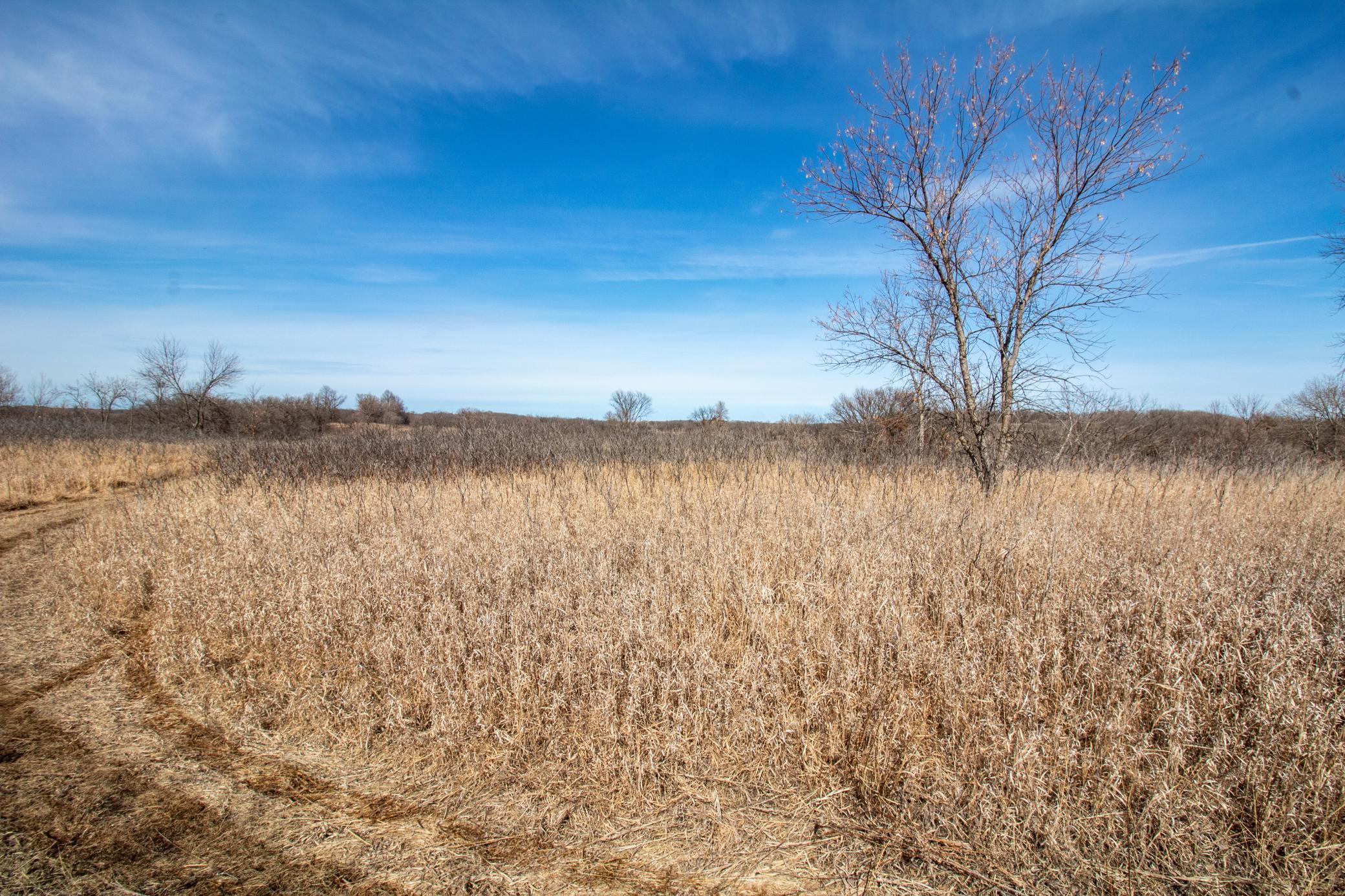 TBD County Highway 83, Battle Lake, Minnesota image 47