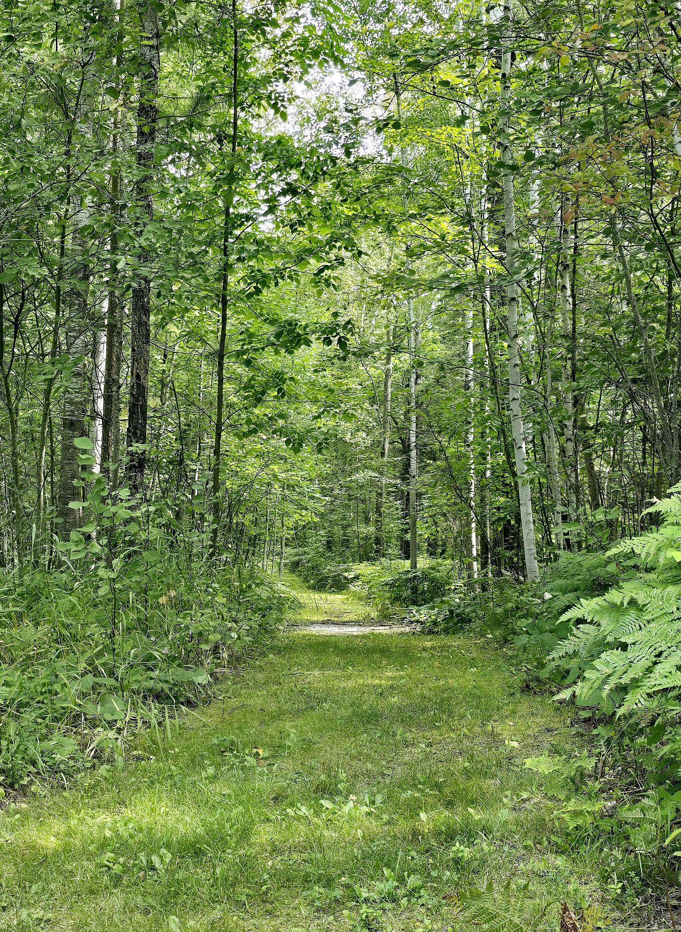 25374 Everts Road, Tenstrike, Minnesota image 38