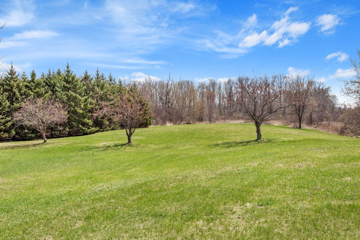 265 Mallard Drive, Shakopee, Minnesota image 38
