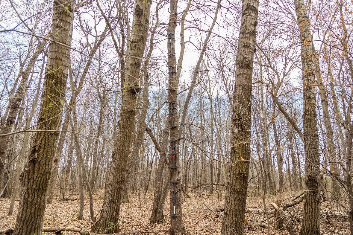 County Road Ee, Elk Mound, Wisconsin image 32