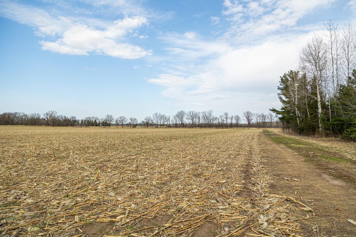 County Road Ee, Elk Mound, Wisconsin image 23