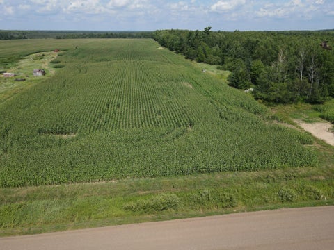 Vacant Land For Sale - 67TBD County Road M<br/> Ogema, WI 54459