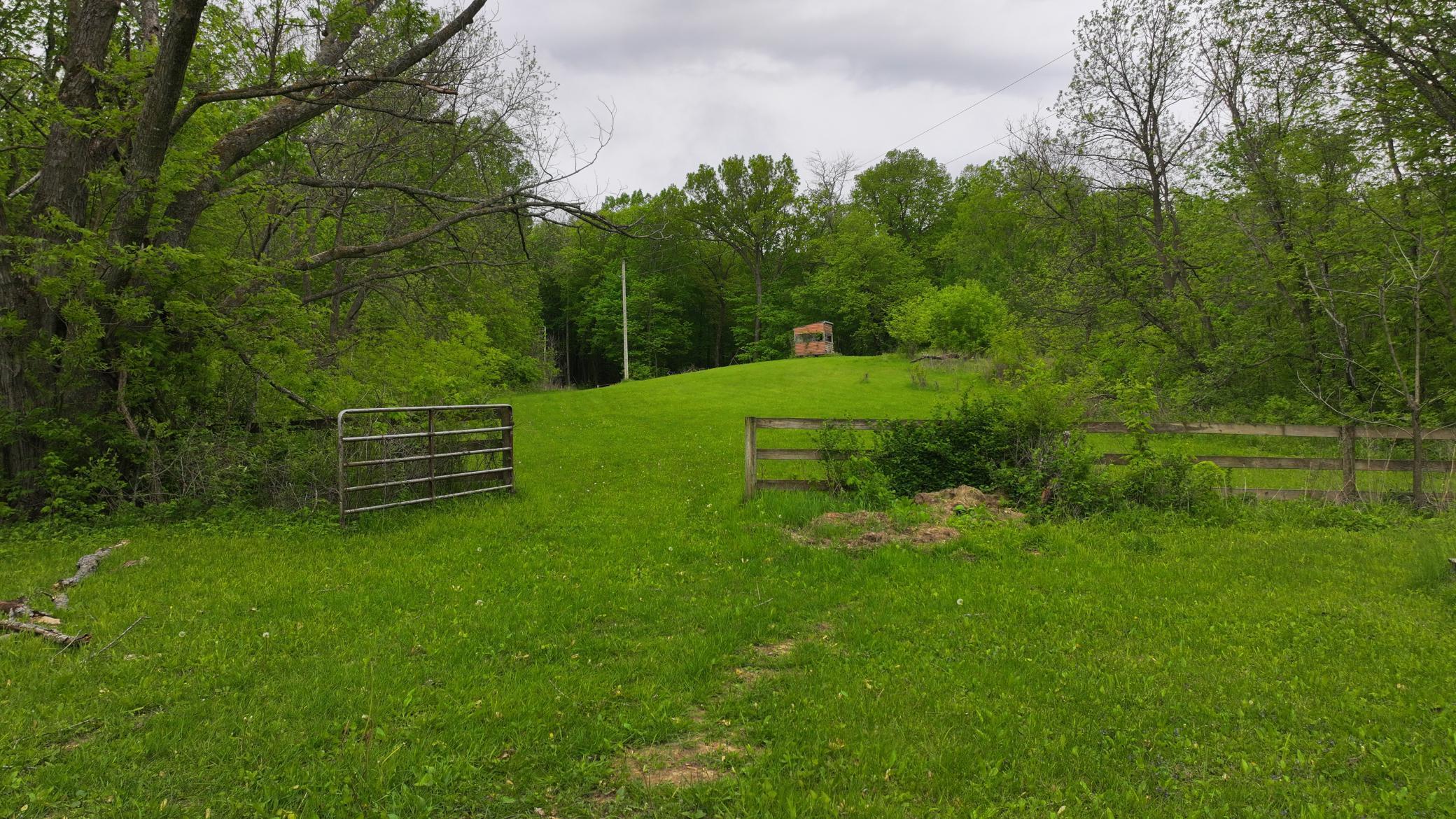 8909 SE 43rd Avenue, Stewartville, Minnesota image 6