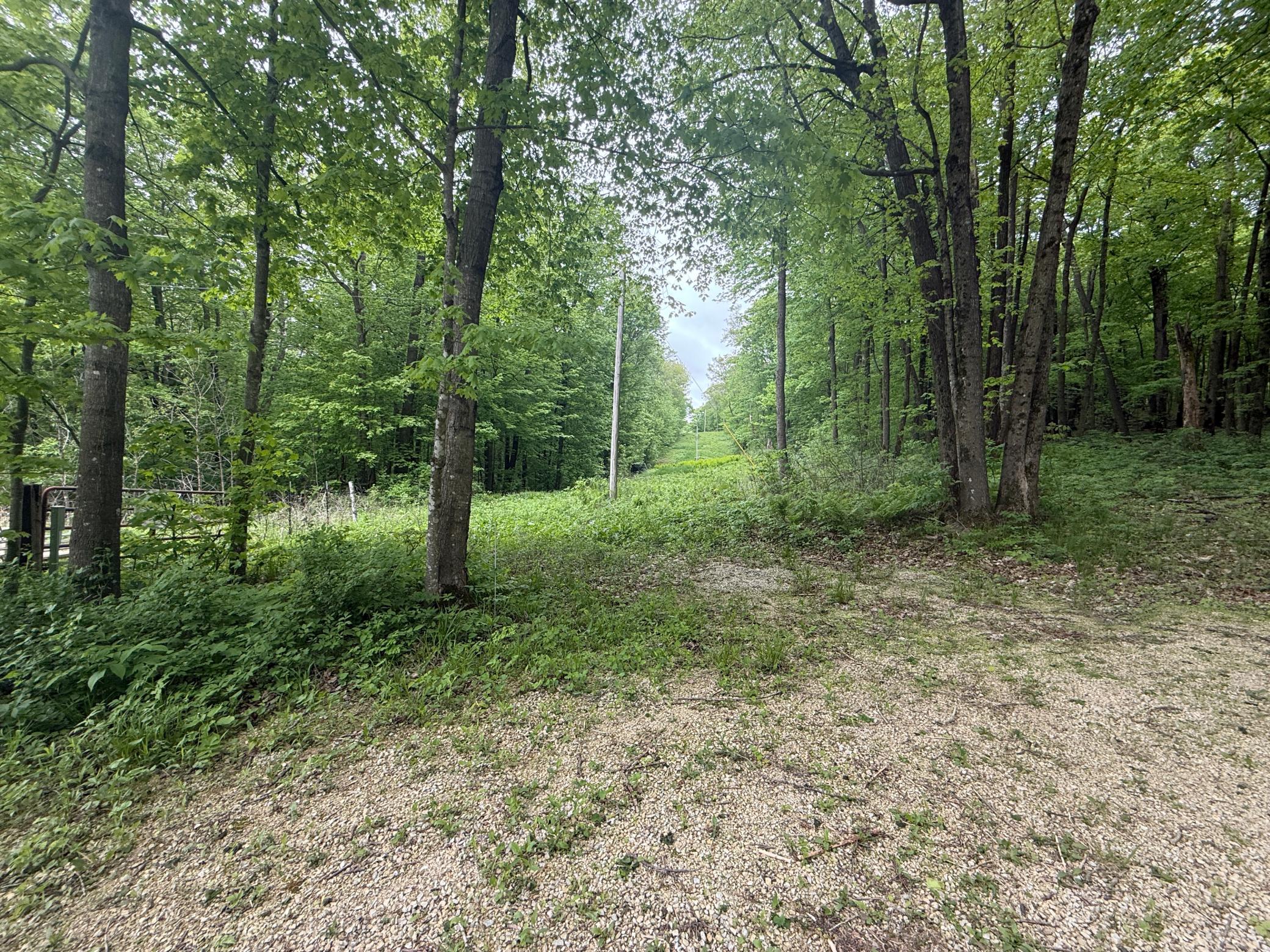 8909 SE 43rd Avenue, Stewartville, Minnesota image 21