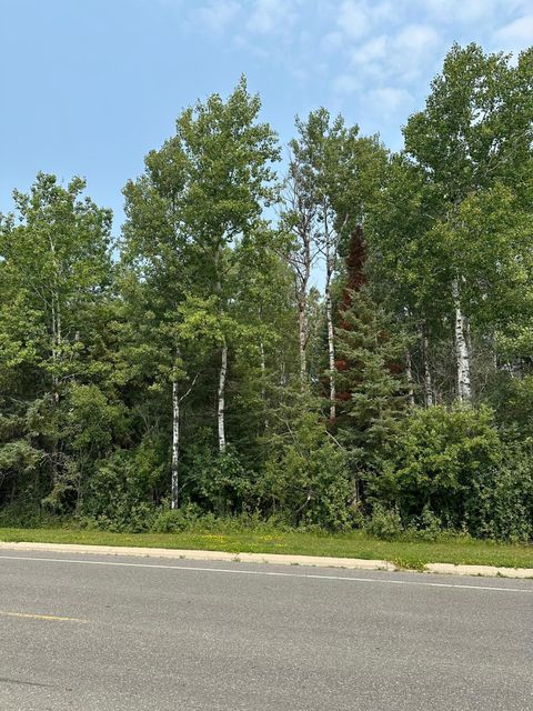 Vacant Land For Sale - TBD 7 ACRES County Road 107<br/> Koochiching County, International Falls, MN 56649