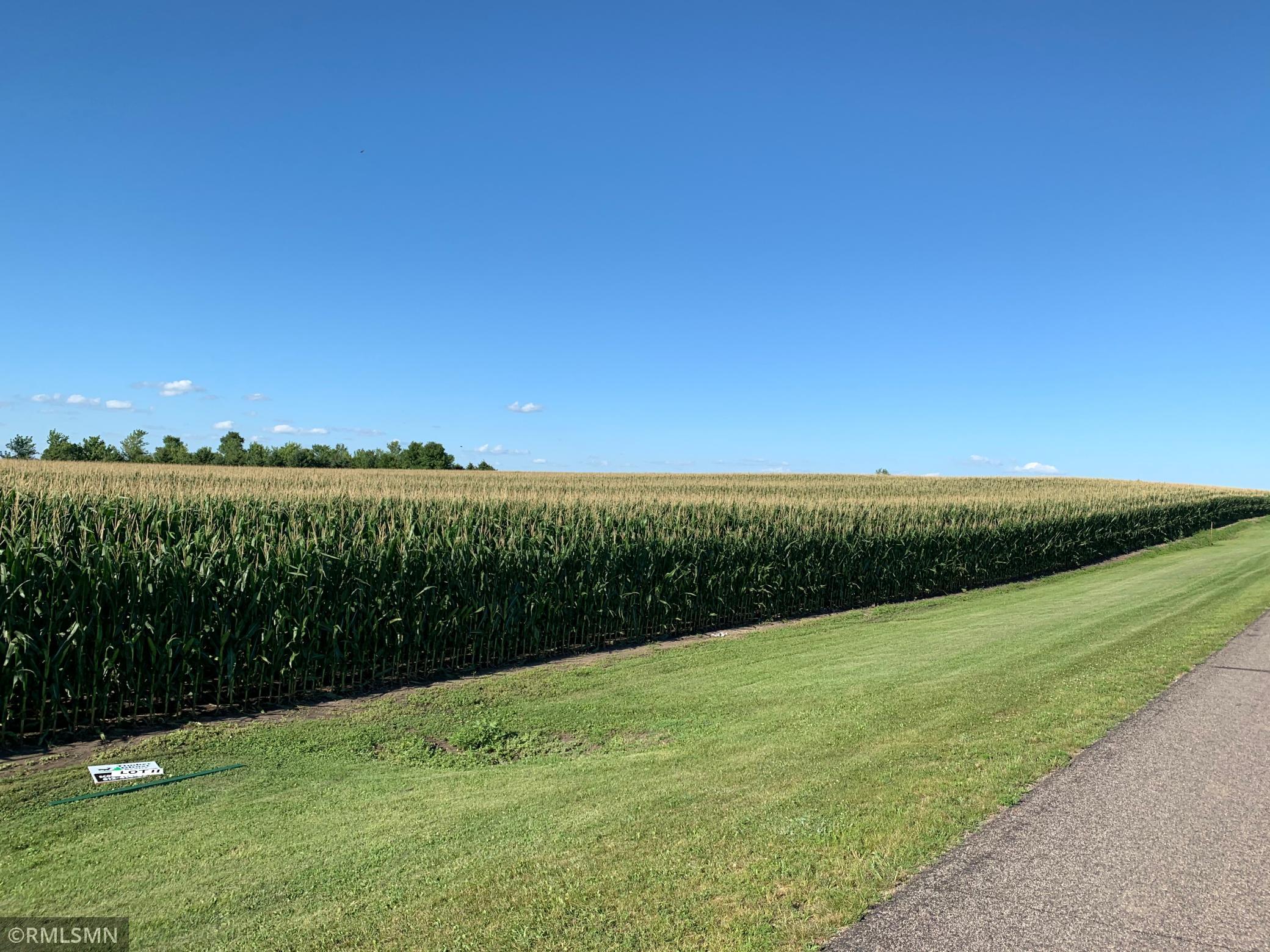 47548 259th Lane, Gaylord, Minnesota image 8