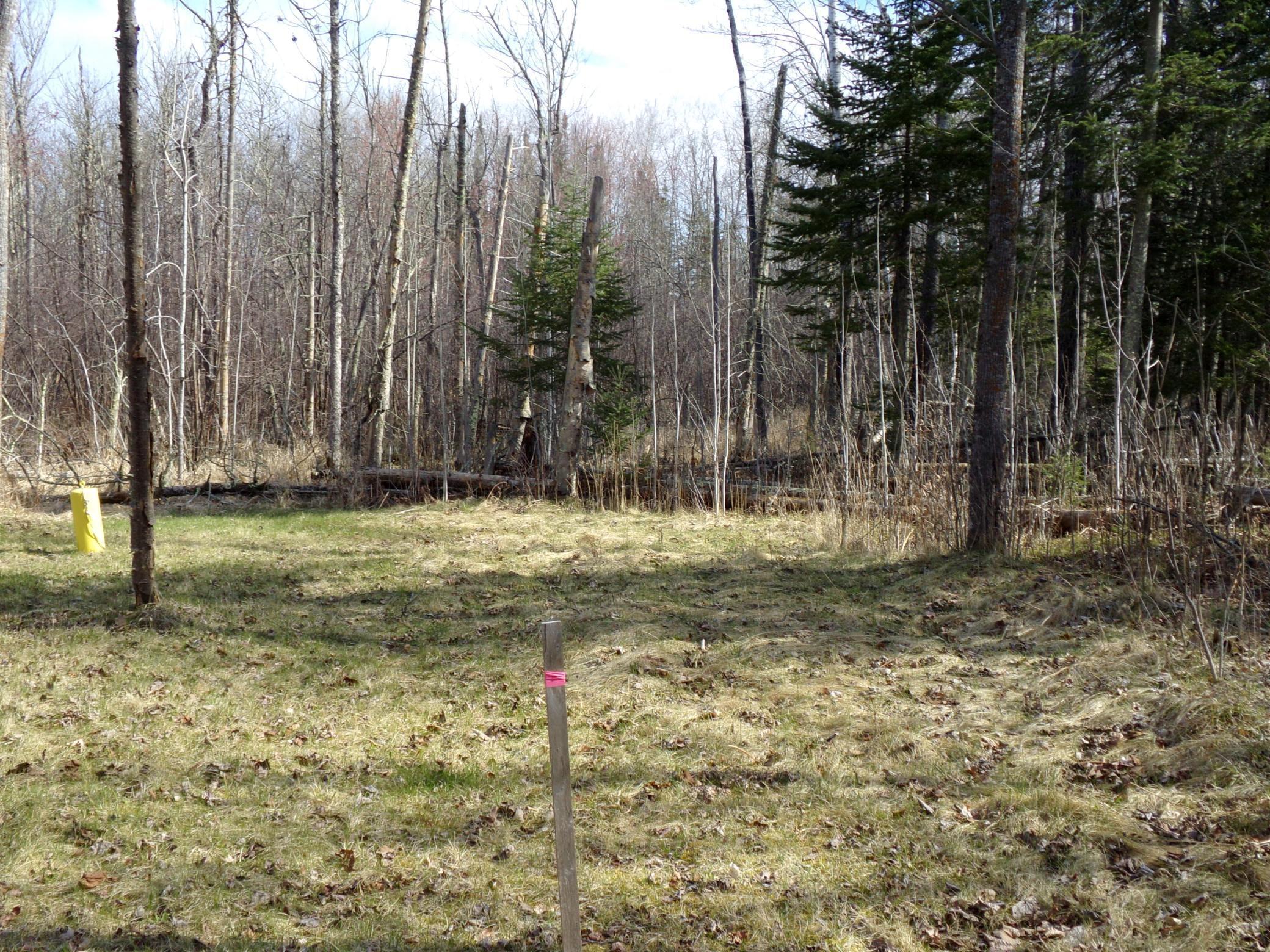 TBD Goshawk Street, Mcgregor, Minnesota image 7