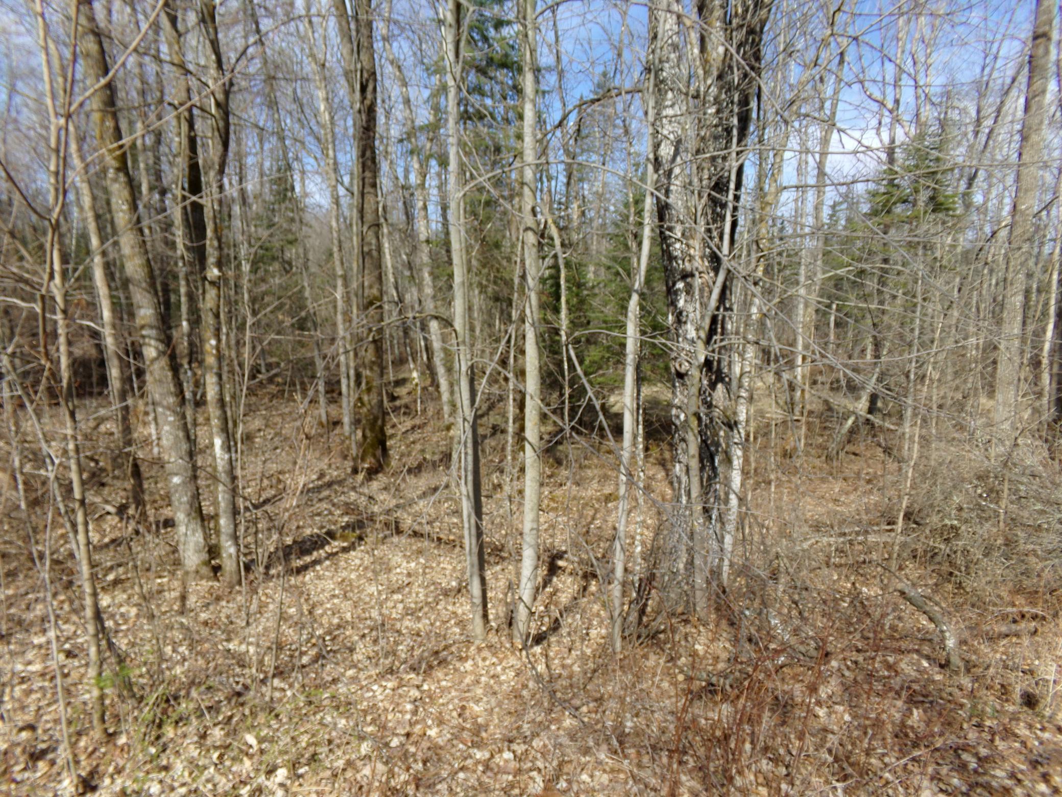 TBD Goshawk Street, Mcgregor, Minnesota image 9