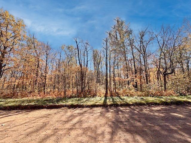 Tract D Olander Road, Crosby, Minnesota image 3