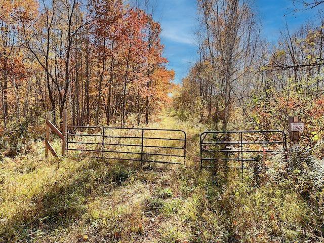 Tract D Olander Road, Crosby, Minnesota image 12