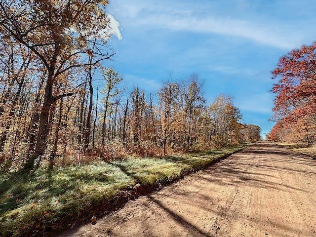 Tract D Olander Road, Crosby, Minnesota image 1