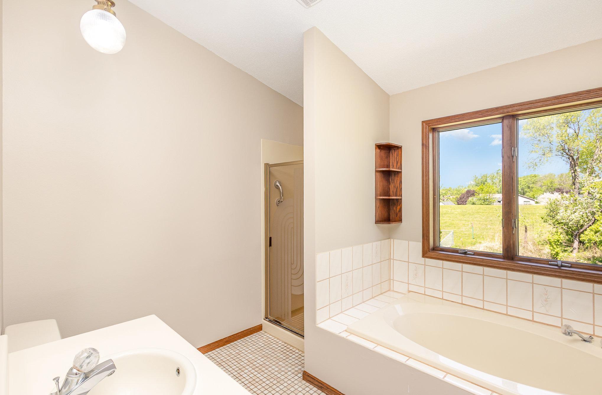 8614 Jenner Lane, Cottage Grove, Minnesota image 14
