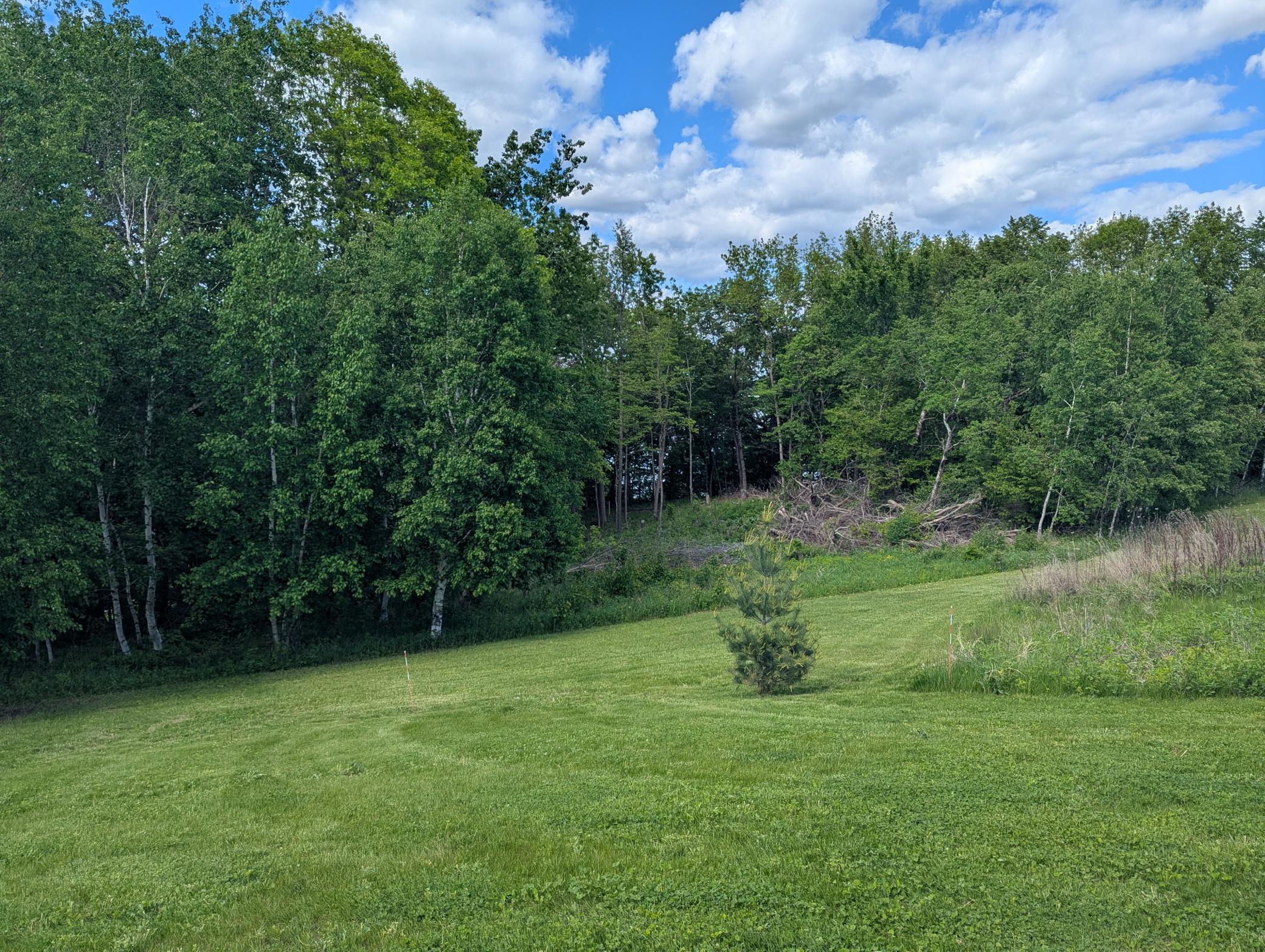 26884 709th Street, Lake City, Minnesota image 34