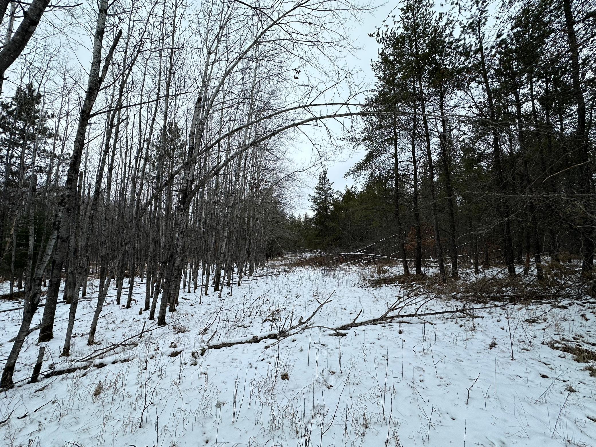 Xxx Highway 61, Sturgeon Lake, Minnesota image 13