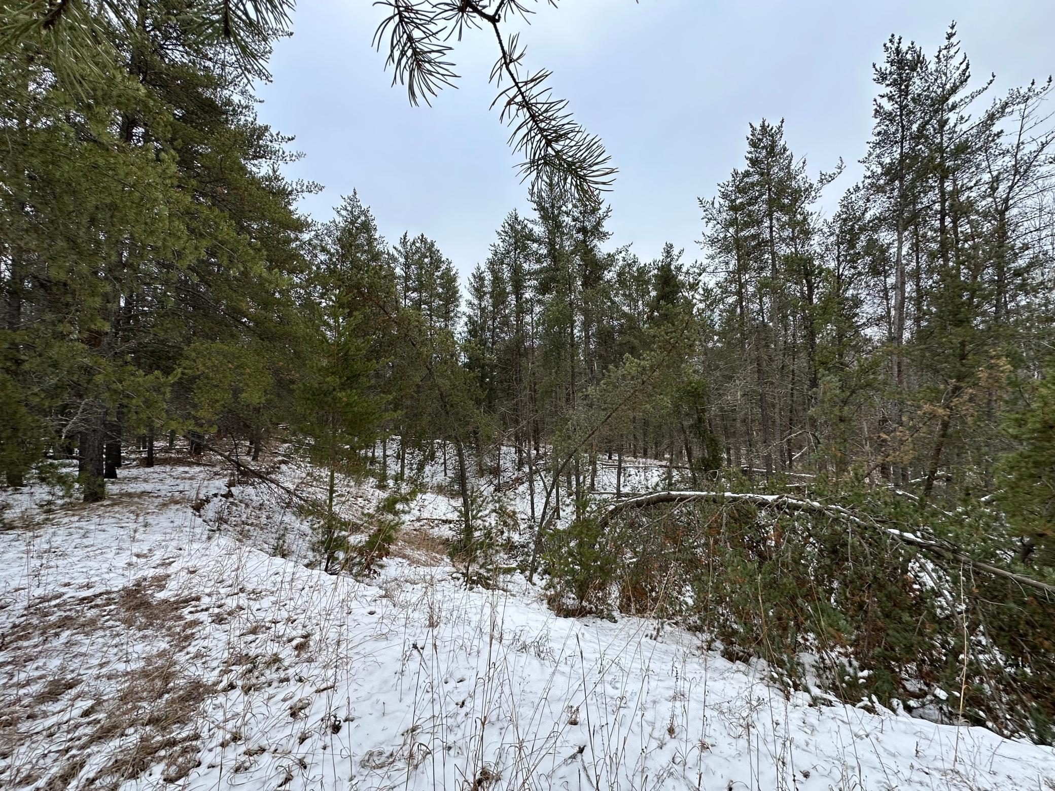 Xxx Highway 61, Sturgeon Lake, Minnesota image 4