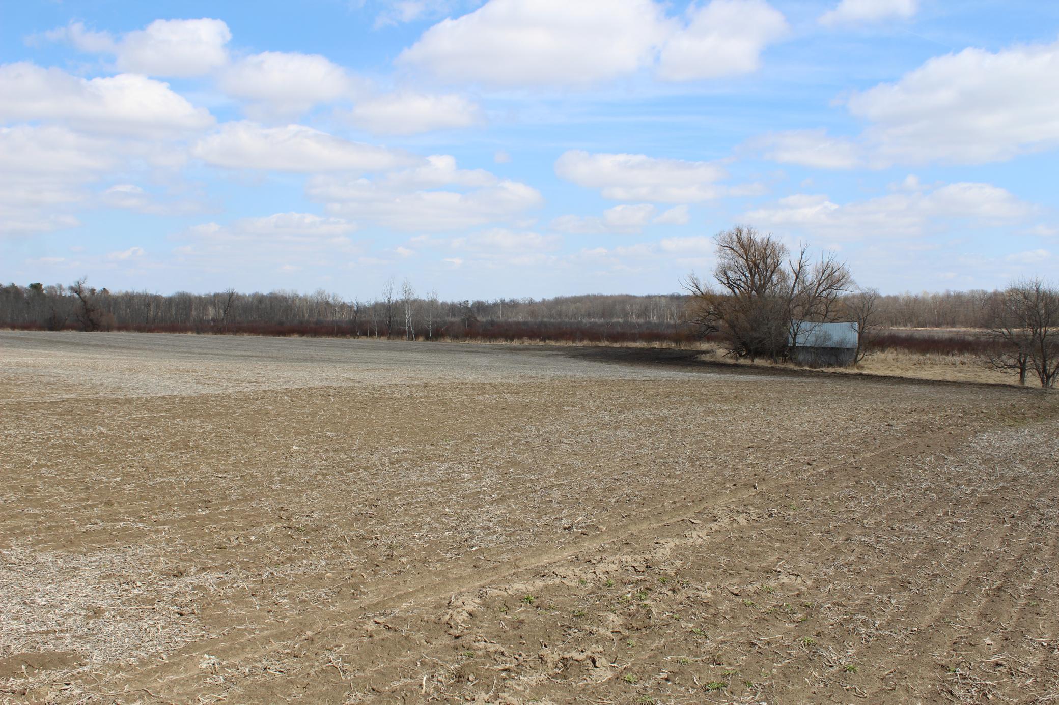 XXXX Hwy 65, Braham, Minnesota image 13