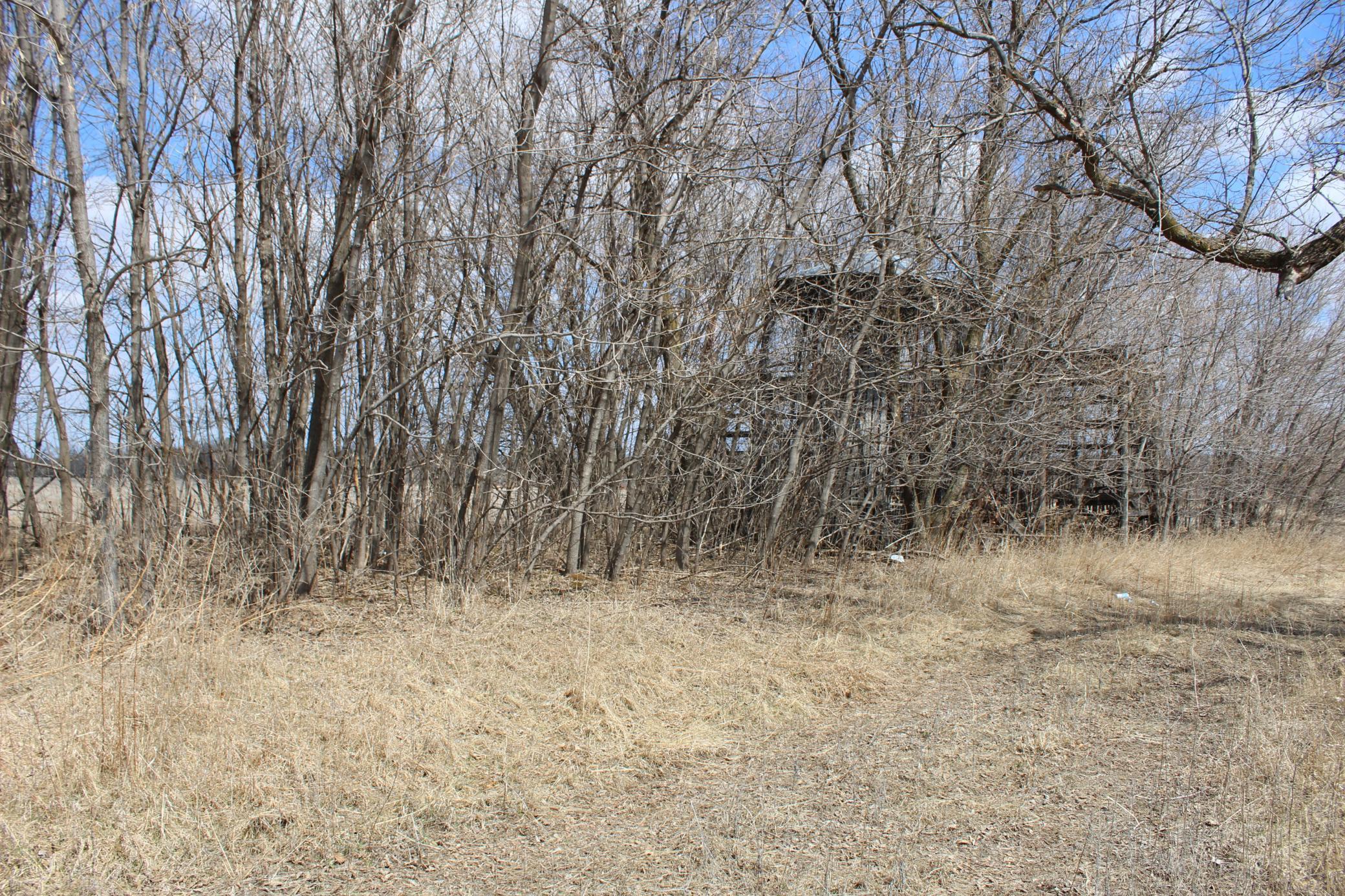 XXXX Hwy 65, Braham, Minnesota image 6