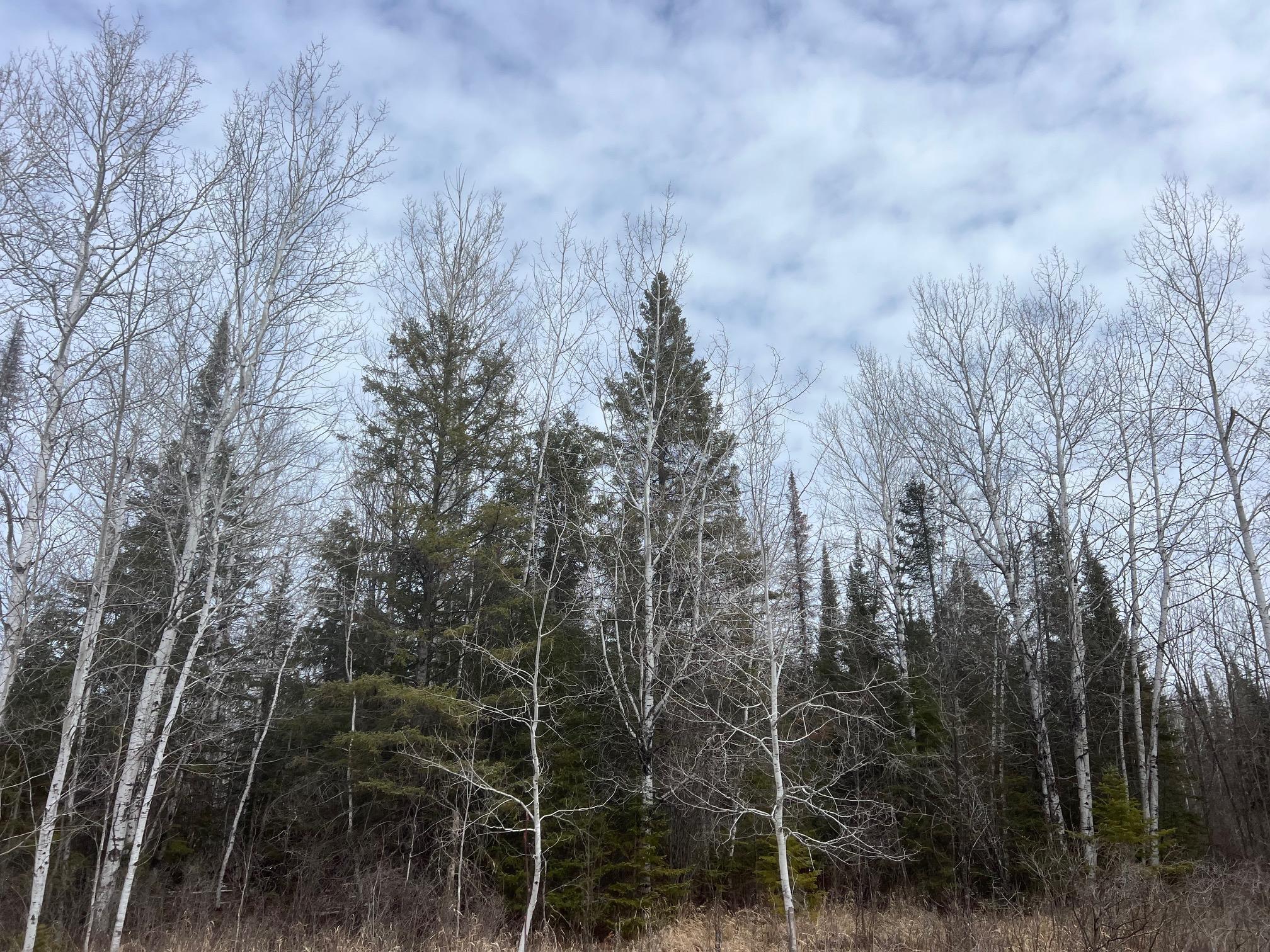 TBD Lund Road, Maple, Wisconsin image 27