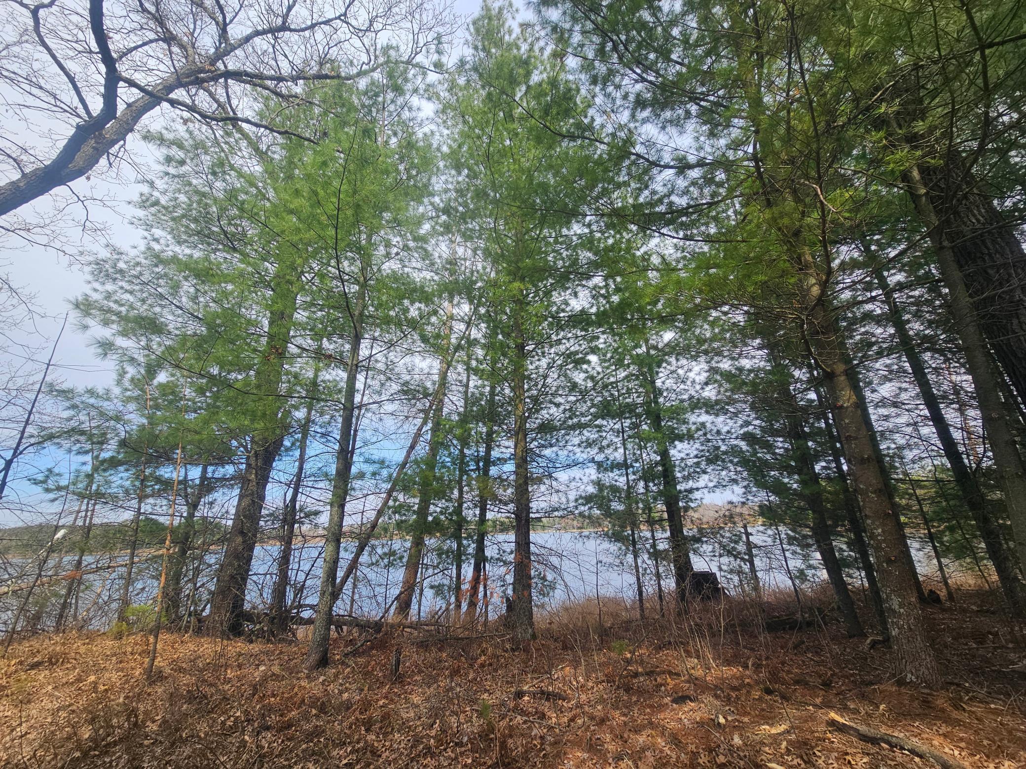 28457 Johnson Lake Road, Webster, Wisconsin image 7