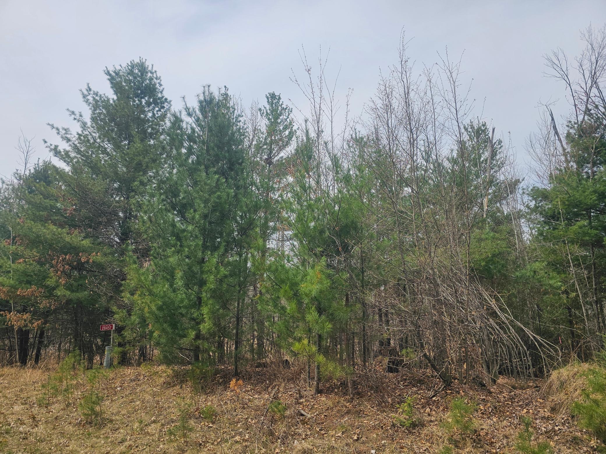 28457 Johnson Lake Road, Webster, Wisconsin image 10